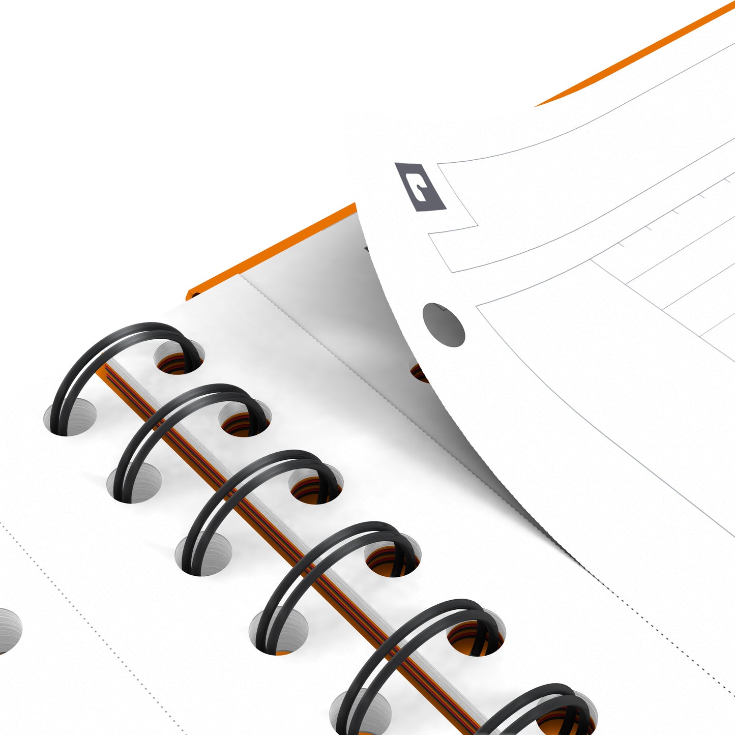 Oxford International Organiser A4+ notitieboek met dubbele spiraal en perforatie - 10