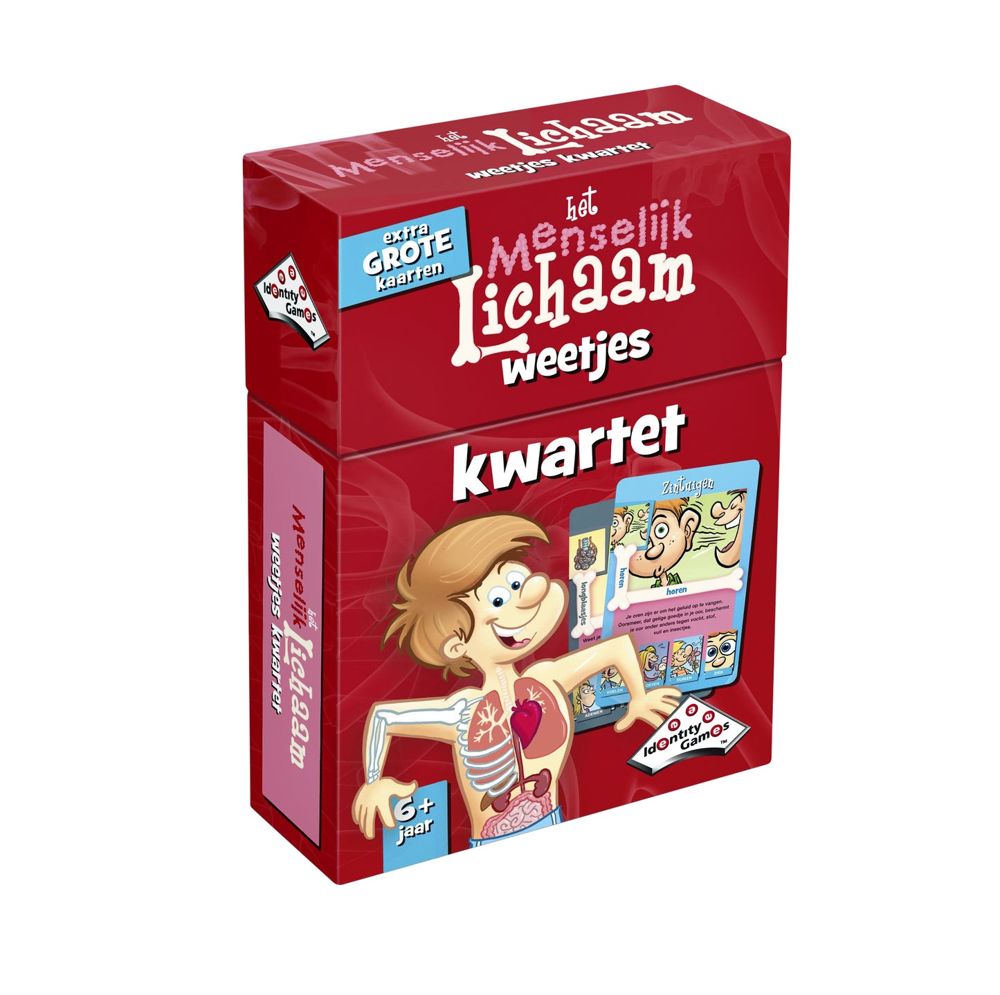 Menselijk Lichaam Kwartet Kaartspel met Weetjes - 2