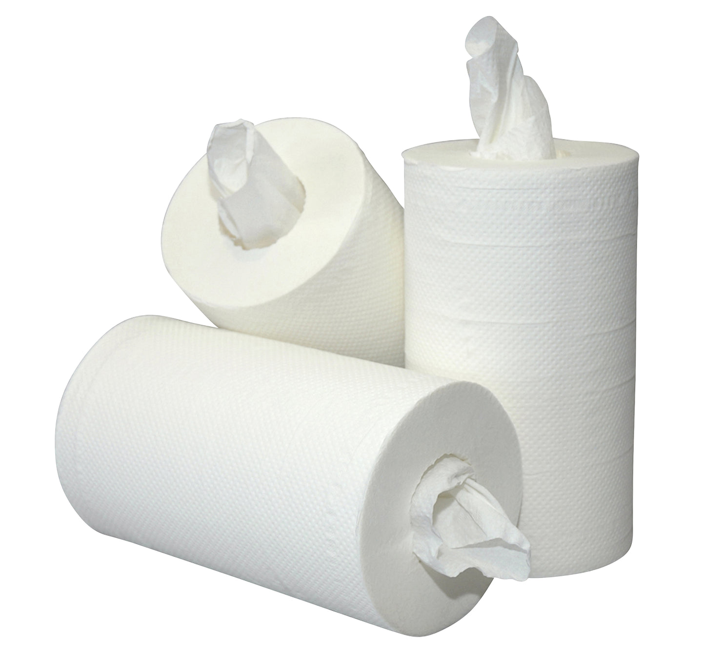 Poetspapier Mini 2-laags cellulose wit 80 meter