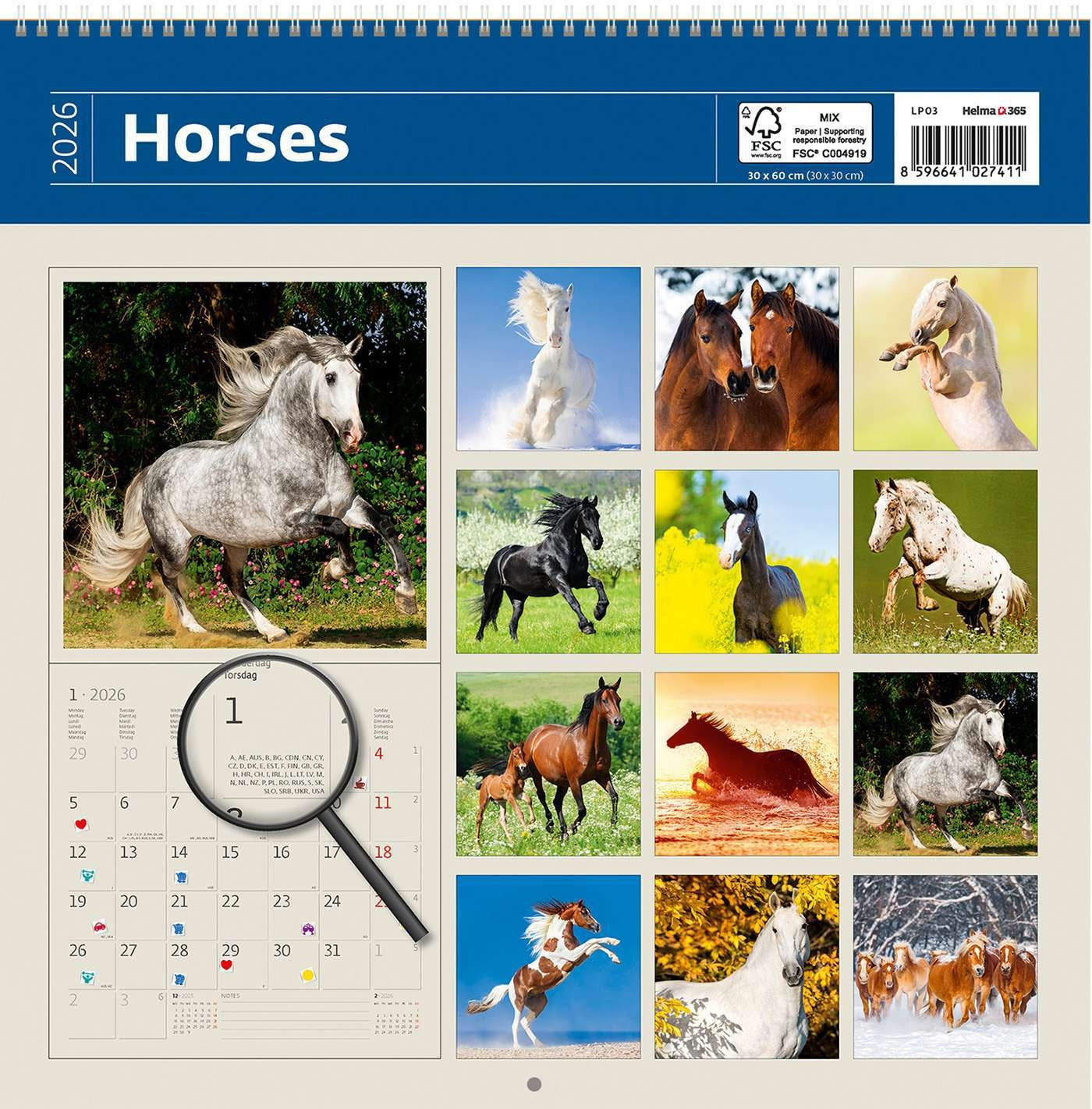 Kalender 2025 30x30cm Paarden - 2