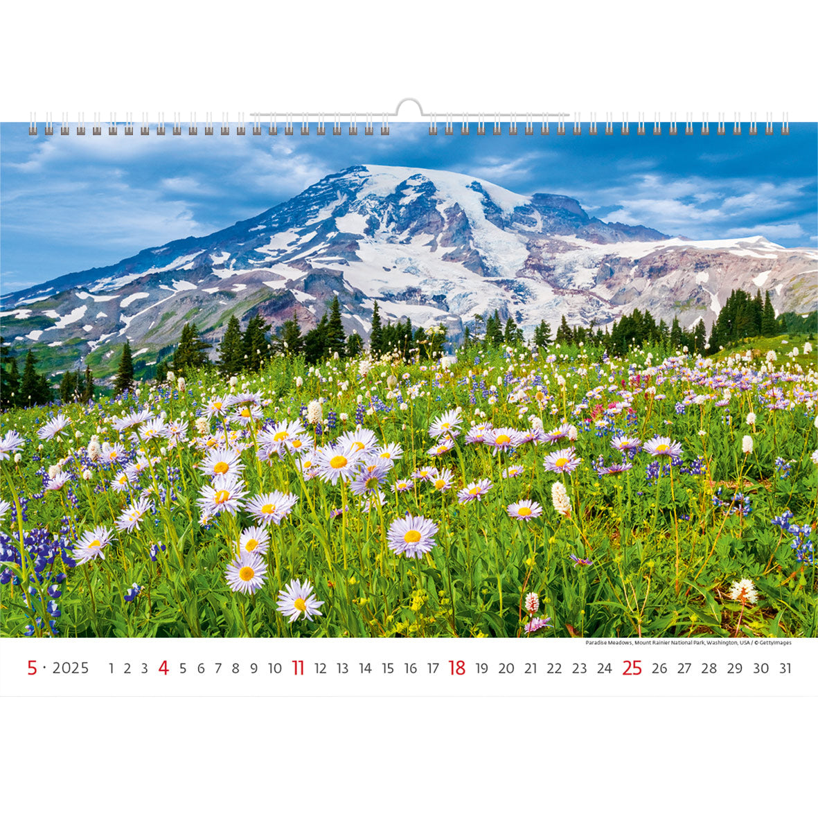 Kalender 2025 31.5x45cm Nationale Parken - 3