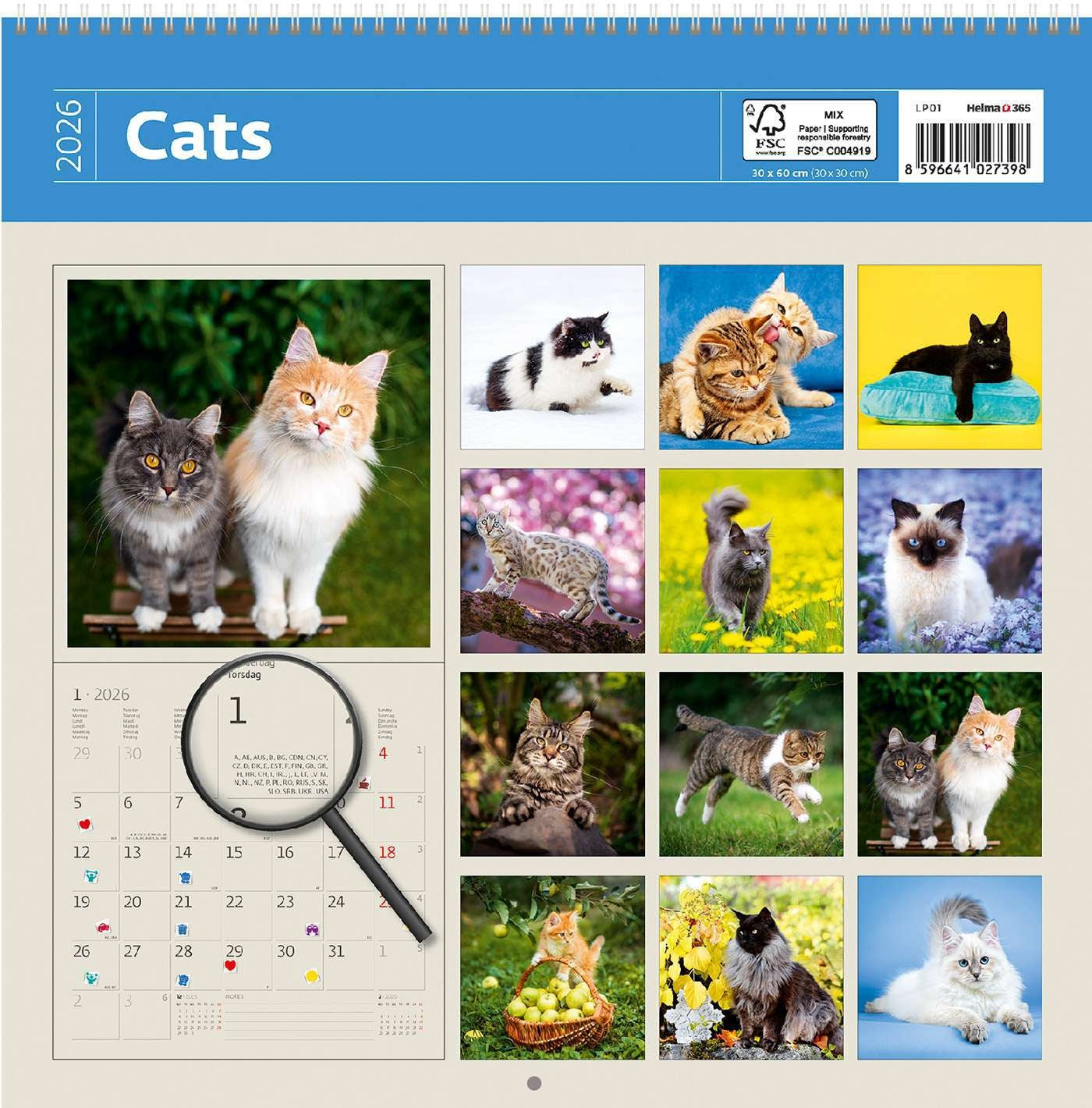Kalender 2025 Kattenmotief 30x30cm met Ruimte voor Aantekeningen - 2