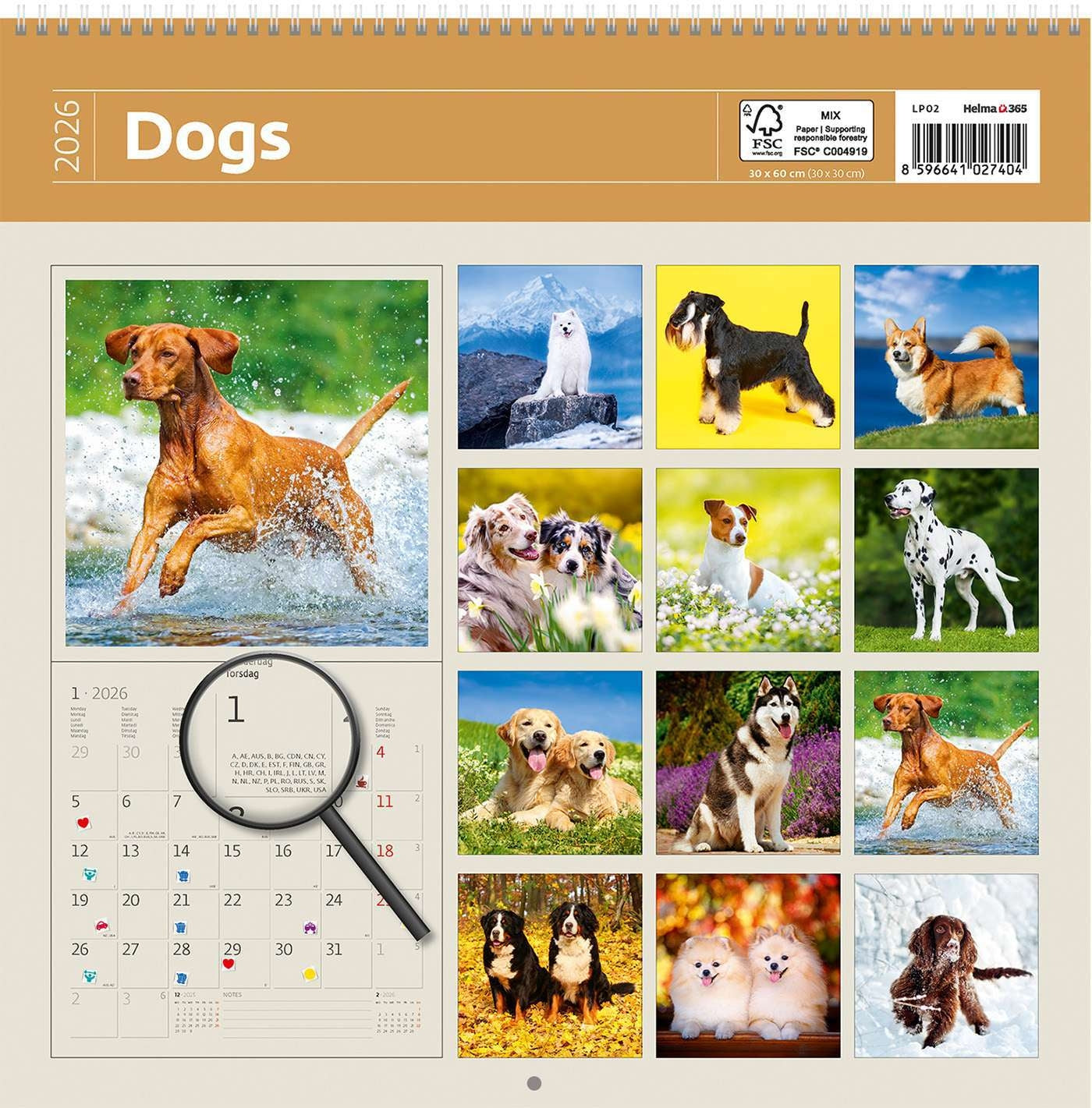 Kalender 2025 30x30cm Honden - 2