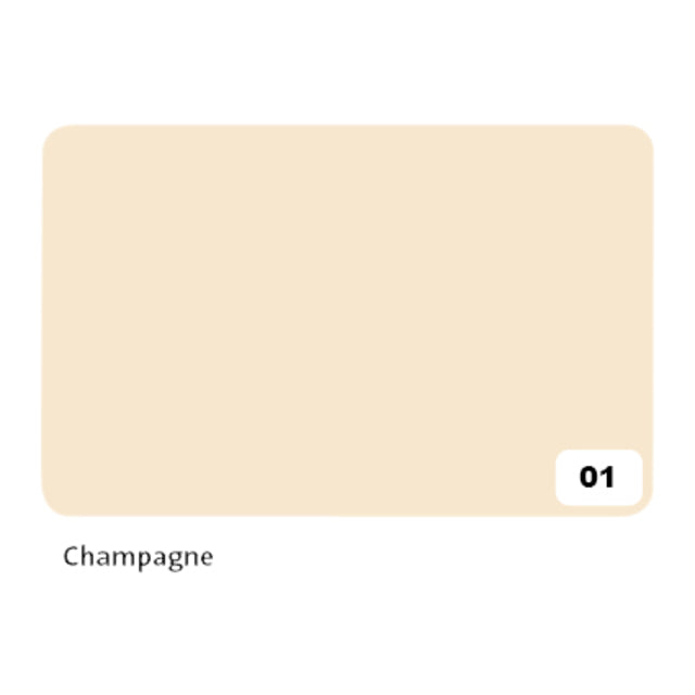 Folia Fotokarton 2-zijdig 50x70cm 300gr nr01 Champagne