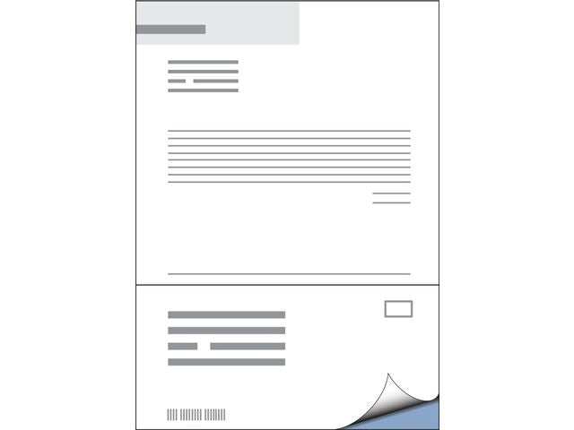DHL IEZZY Retour- en Pakbonlabel A4 102x210 mm, 1000 stuks