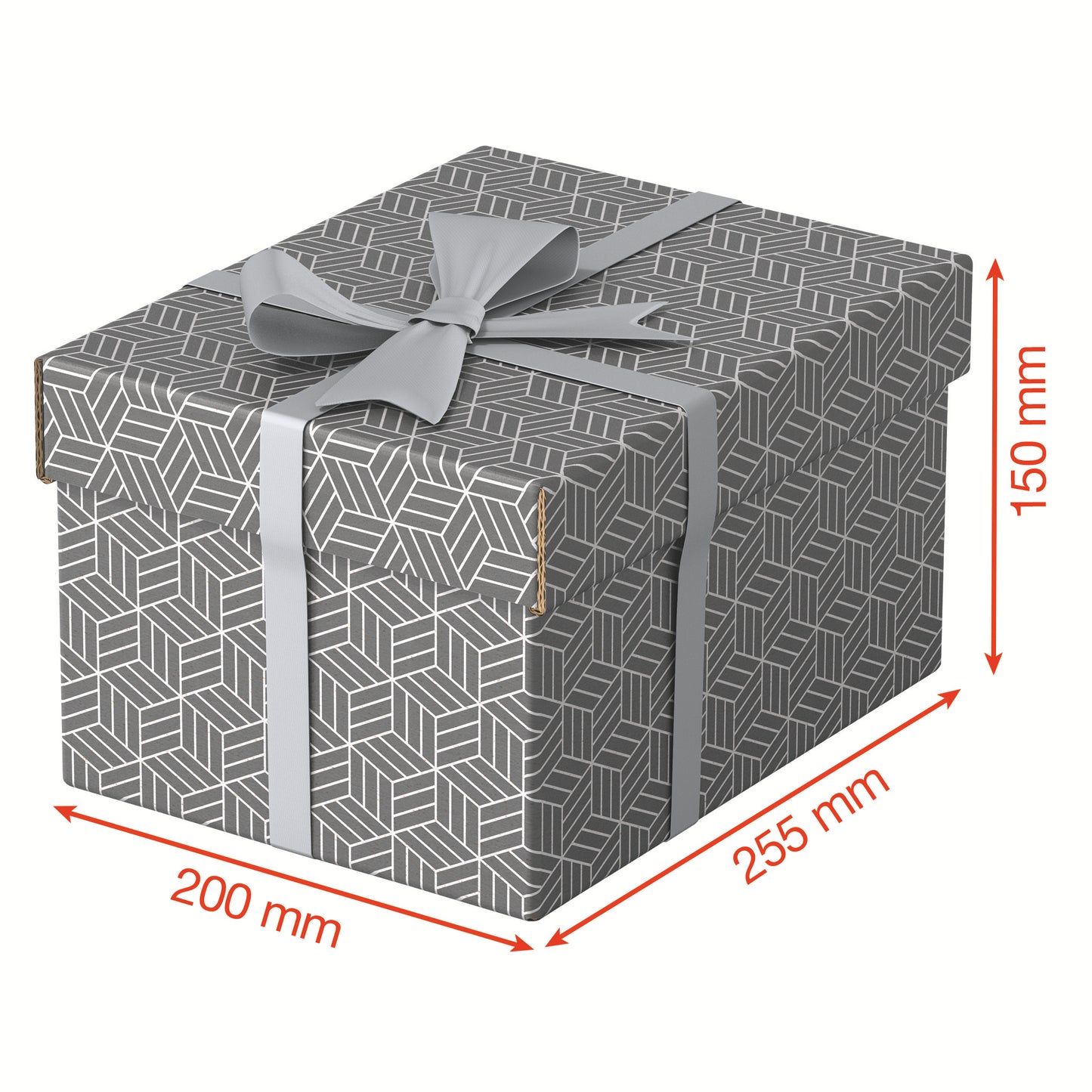 Set van 3 Esselte opberg- en geschenkdozen 200x150x255mm met geometrisch design - 3