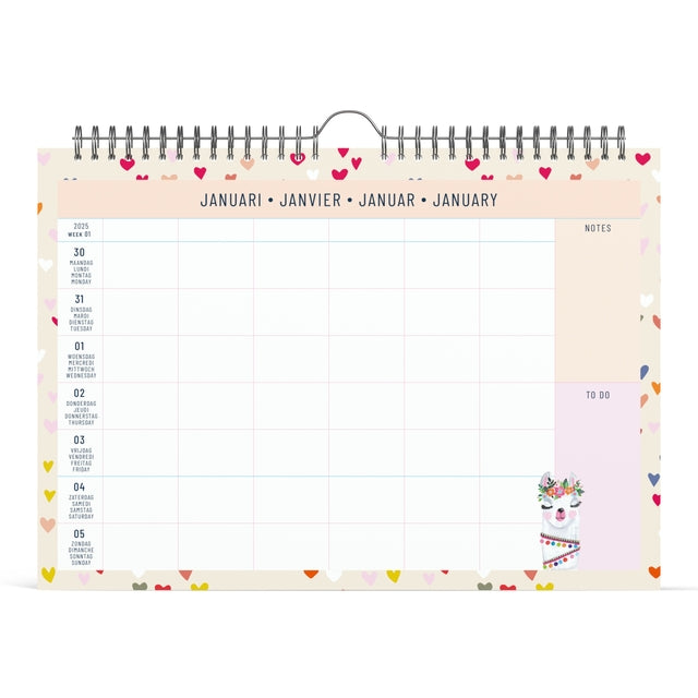 Familiekalender 2025 Lannoo Paper Salad 310x220cm - 2