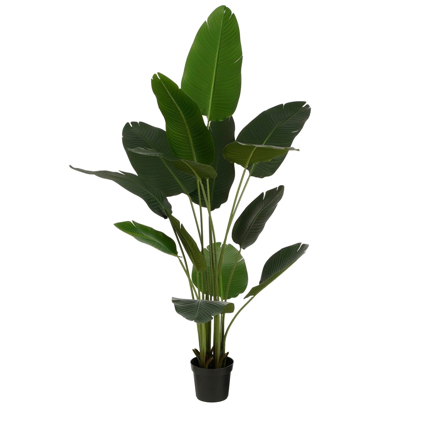 Kunstplant Mica Bananenboom in pot, 180cm hoog