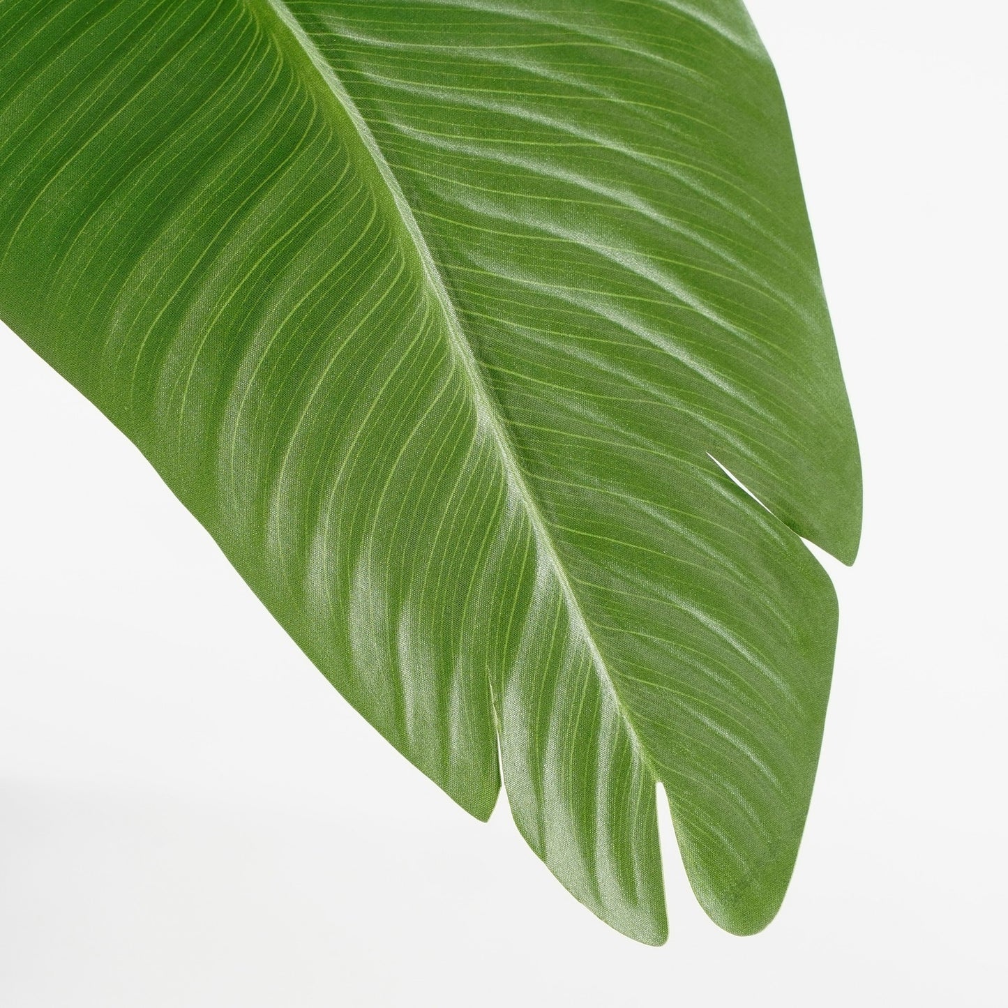 Kunstplant Mica Bananenboom in pot, 180cm hoog - 4