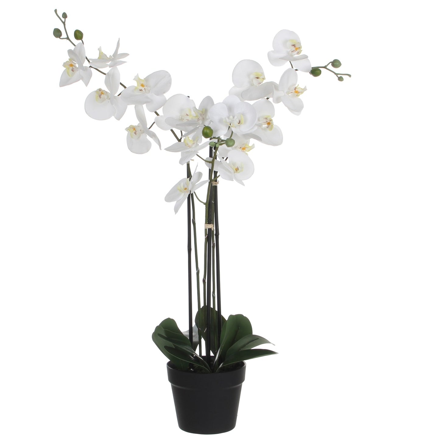 Kunstplant Mica Phalaenopsis Orchidee Wit, 79cm hoog