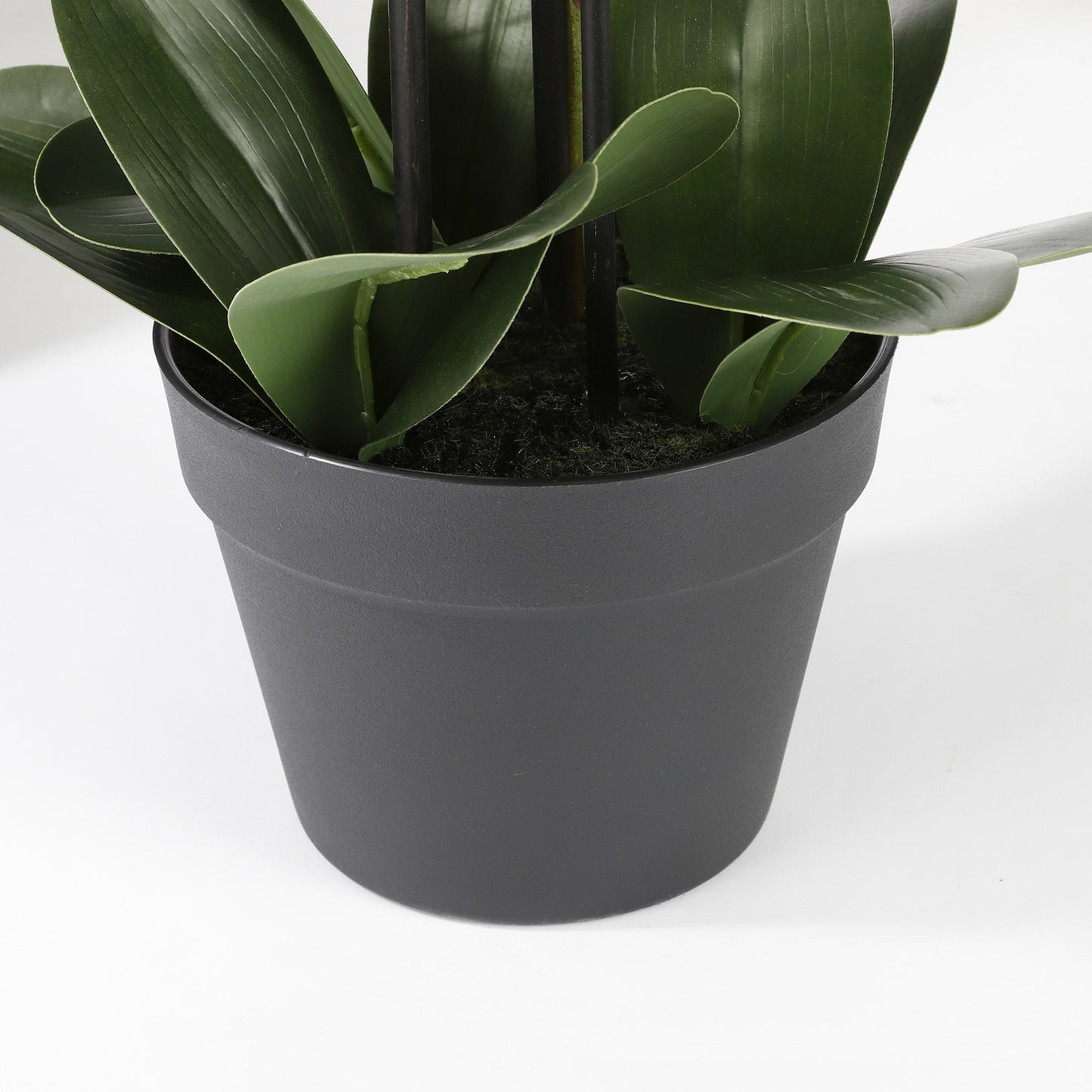 Kunstplant Mica Phalaenopsis Orchidee Wit, 79cm hoog - 3