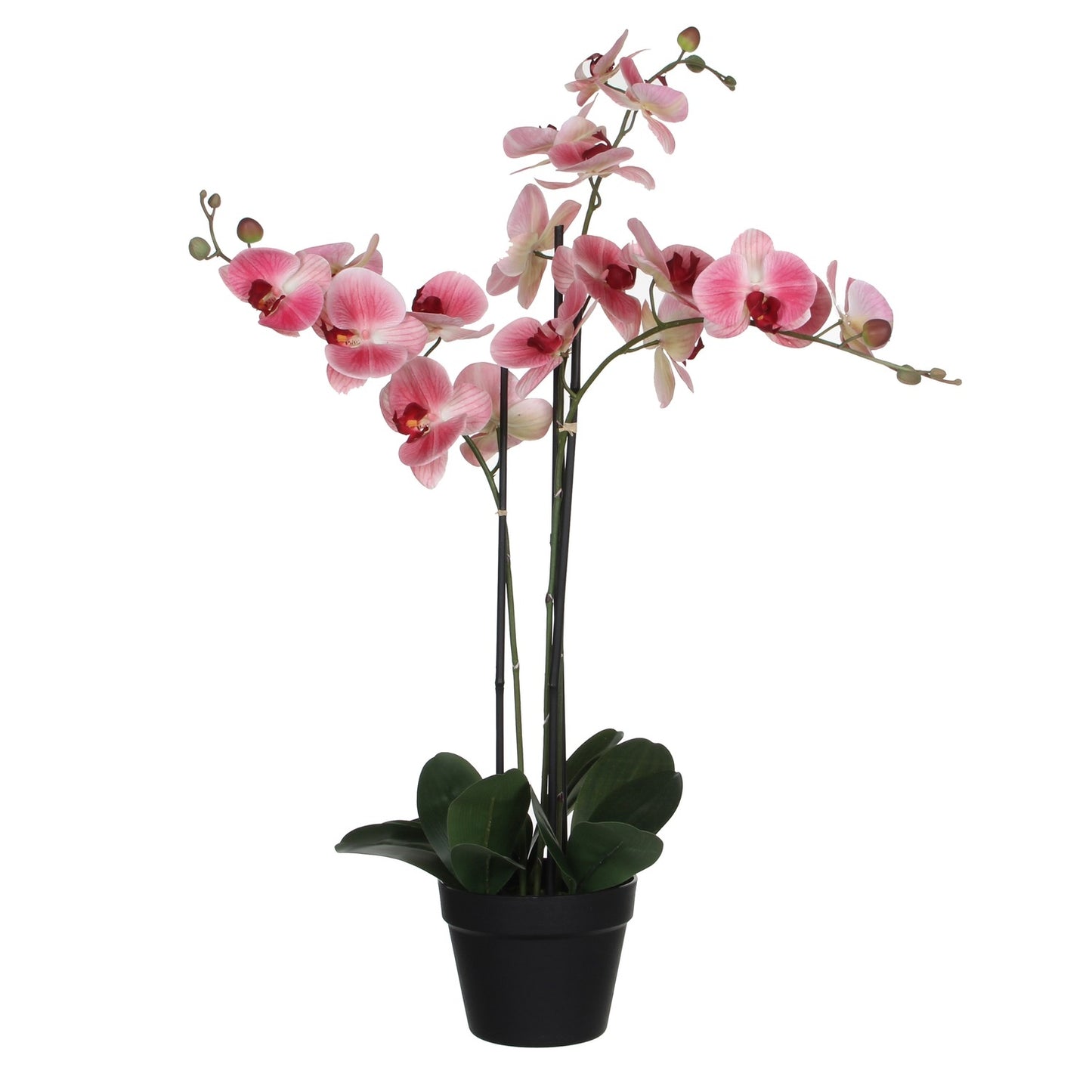 Kunstplant Mica Phalaenopsis orchidee roze