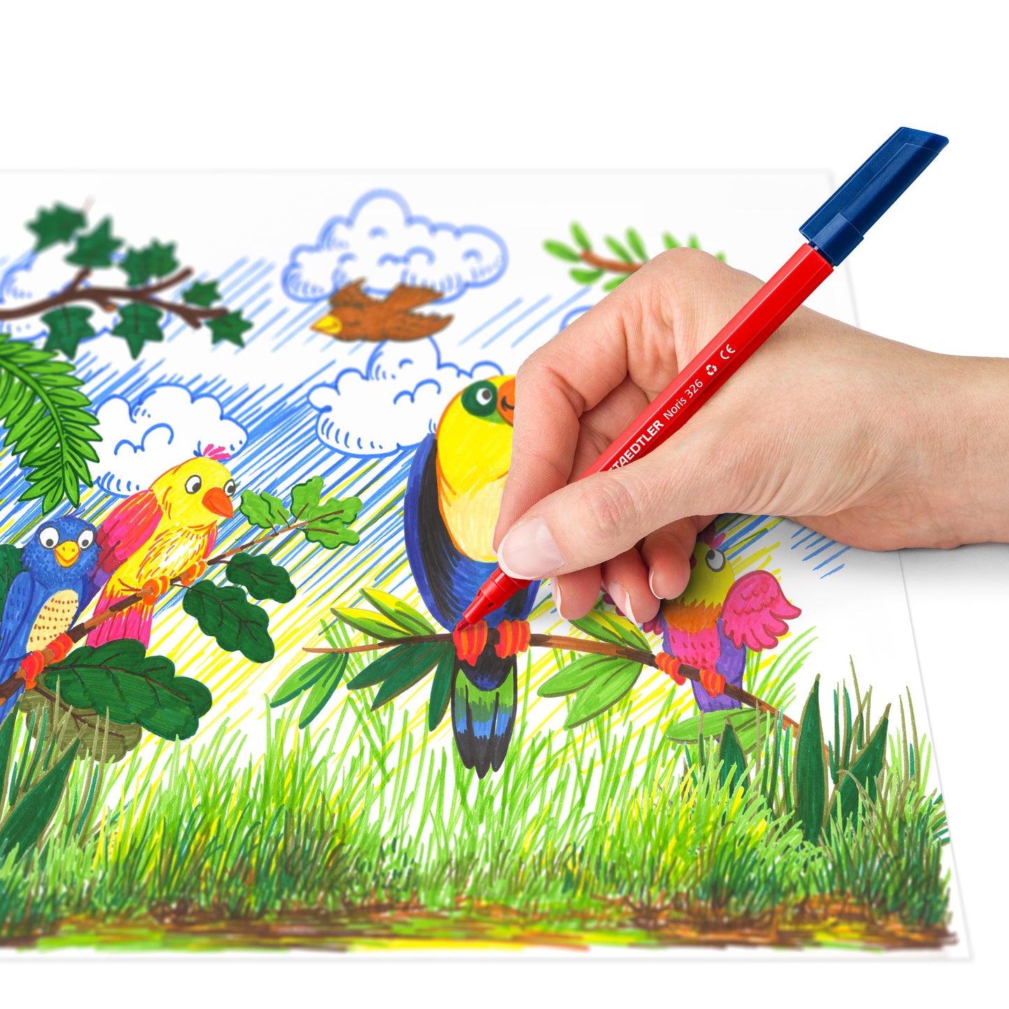 Noris Kleurstift 10 kleuren in kartonnen etui, waterbasis - 6