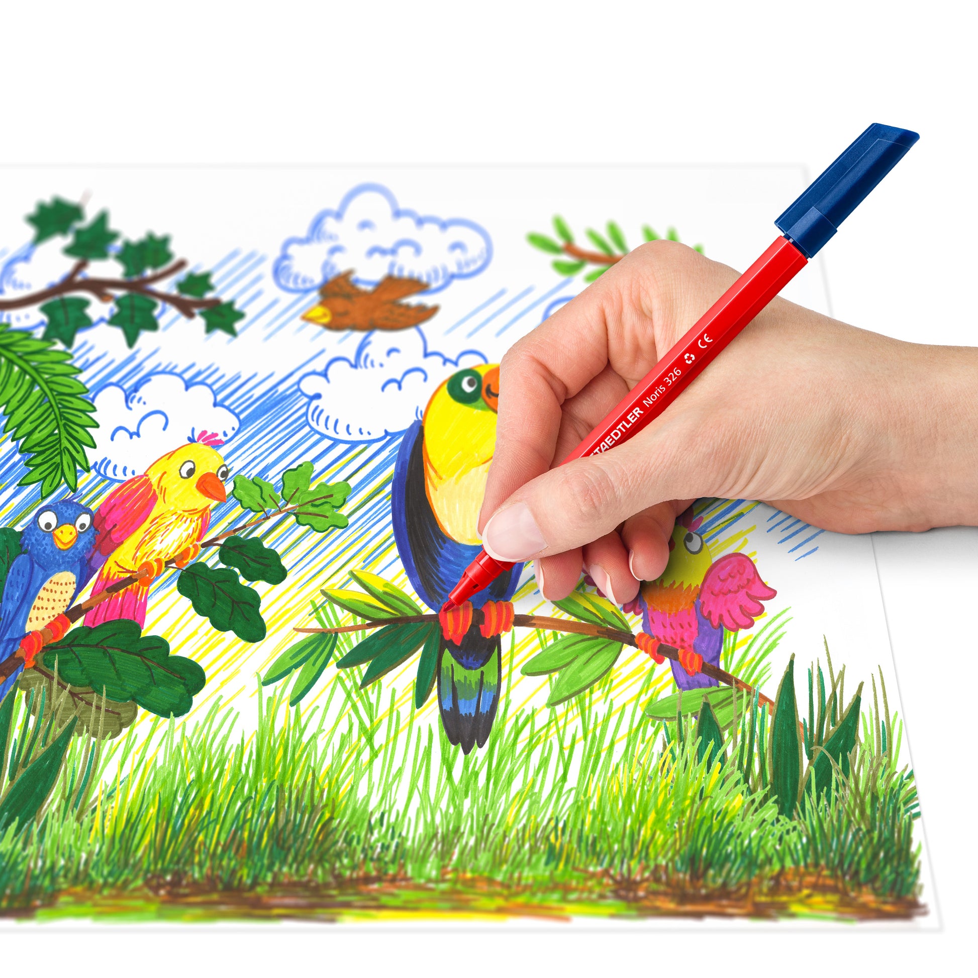 Noris Kleurstift 10 kleuren in kartonnen etui, waterbasis - 6