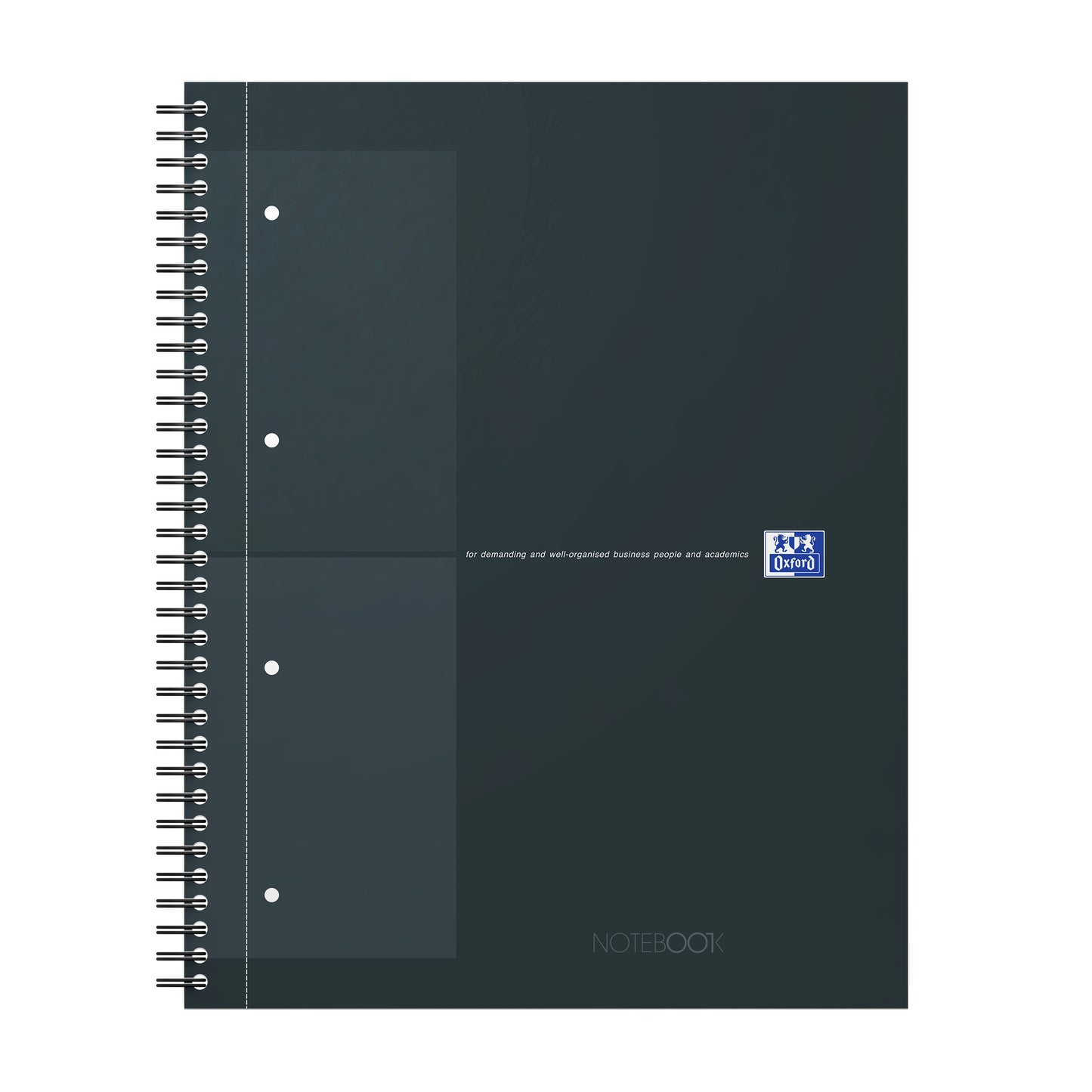 Spiraalblok Oxf International A4+ ruit met 160 pagina's en perforaties
