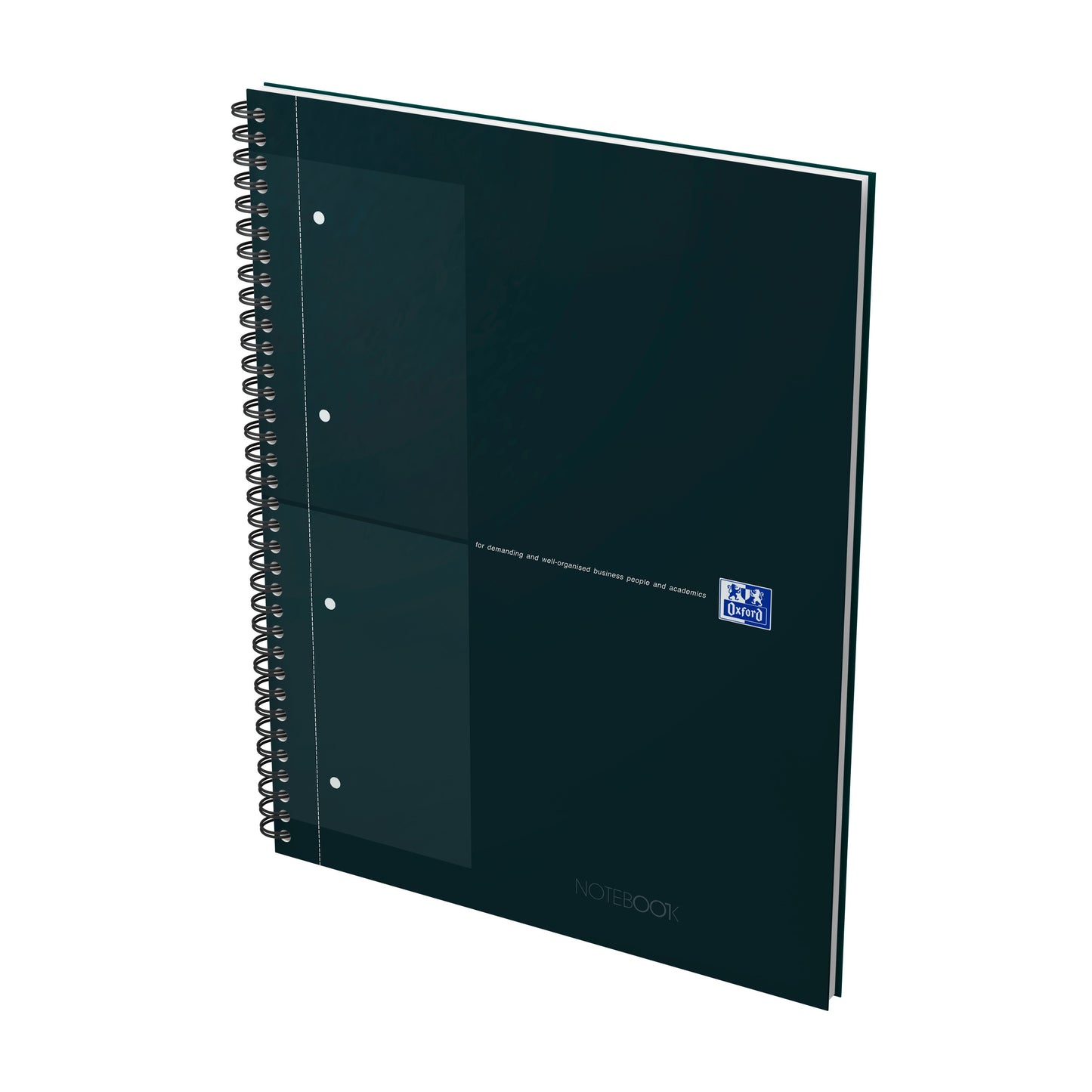 Spiraalblok Oxf International A4+ ruit met 160 pagina's en perforaties - 2