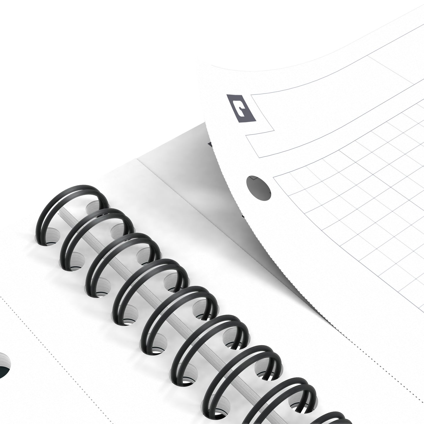 Spiraalblok Oxf International A4+ ruit met 160 pagina's en perforaties - 4