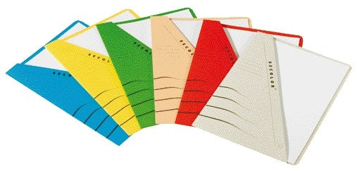 Djois Secolor A4 recycled verzamelmap 250 g/m² (grijs) - 2