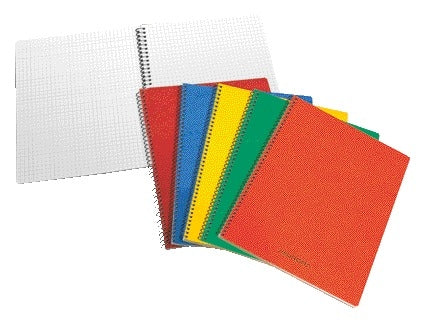 Schrift Aurora 80x135mm ruit 5mm 200 blad assorti