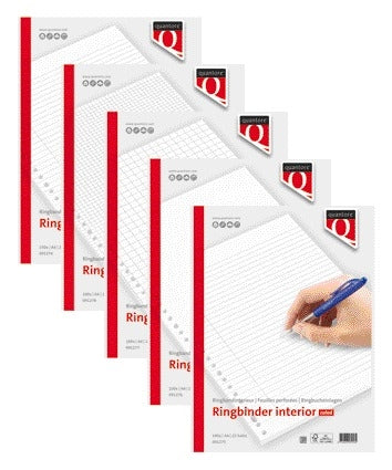 Interieur Quantore A4 23-gaats ruit 70 g/m² FSC, 10 mm - 2