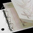Dossierstrip Djois Filestrip A4 2/4 Ringen 25 stuks