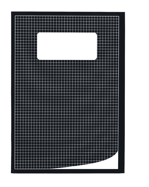 Qbasic A4 Ruitschrift 80 Pag 70 g/m² Assorti