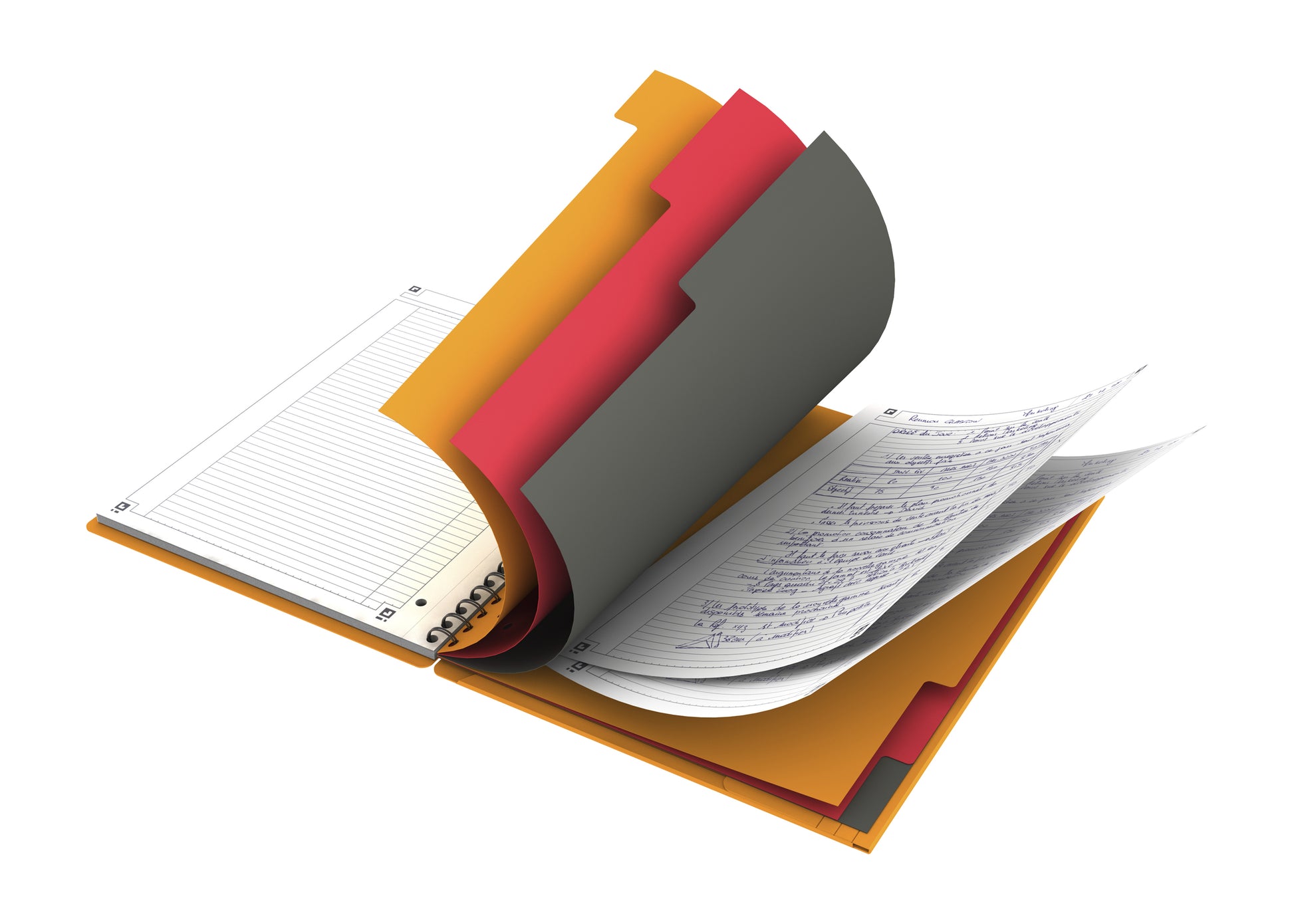 Oxford International Organiser A4+ notitieboek met dubbele spiraal en perforatie - 7