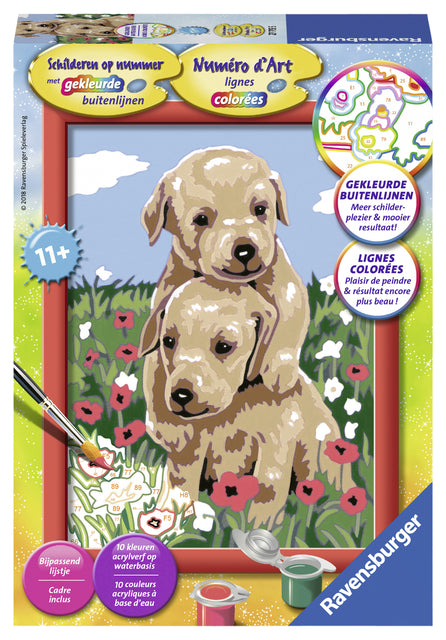 Schilderen op nummer Ravensburger Knuffelende Puppies