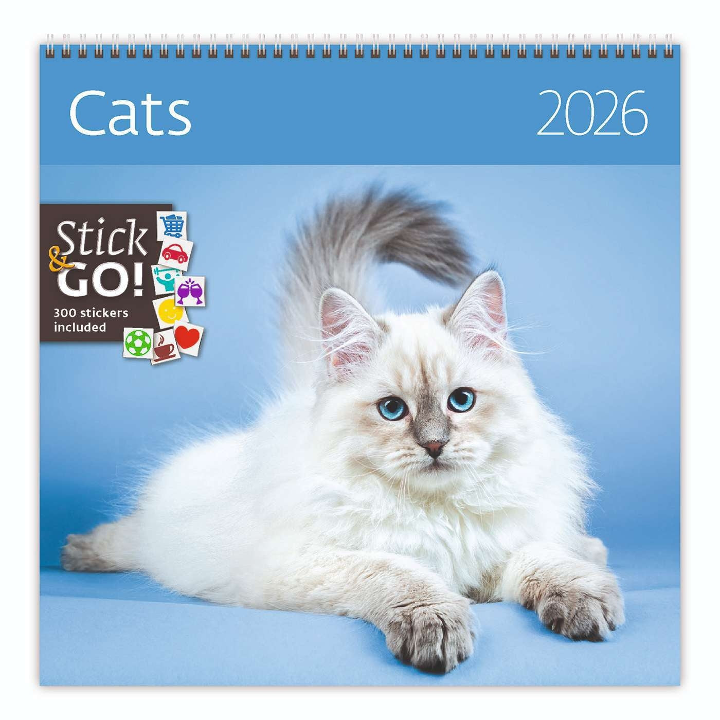 Kalender 2025 Kattenmotief 30x30cm met Ruimte voor Aantekeningen