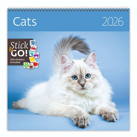 Kalender 2025 Kattenmotief 30x30cm met Ruimte voor Aantekeningen