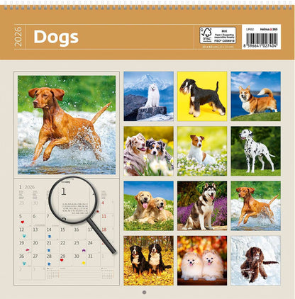 Kalender 2025 30x30cm Honden - 2