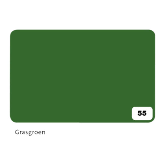 Folia Fotokarton 2-zijdig grasgroen 50x70cm 300gr, pak à 10 vellen