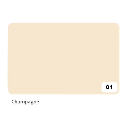 Folia Fotokarton 2-zijdig 50x70cm 300gr nr01 Champagne