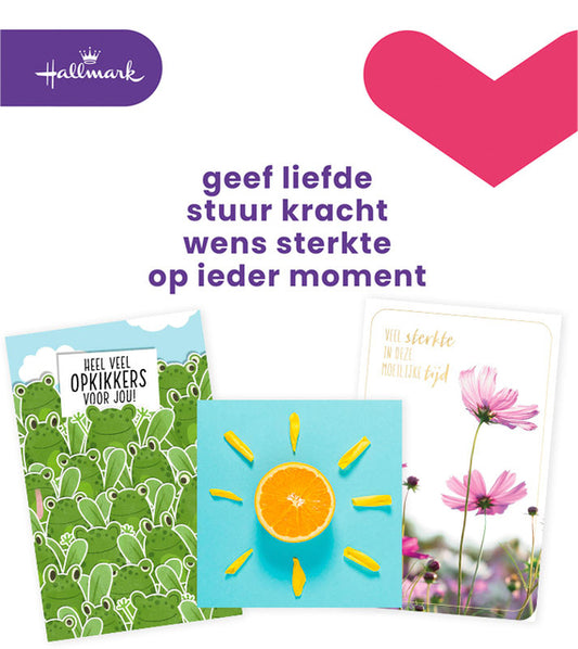 Hallmark Business Box Navulset Beterschap en Sterkte met 12 kaarten