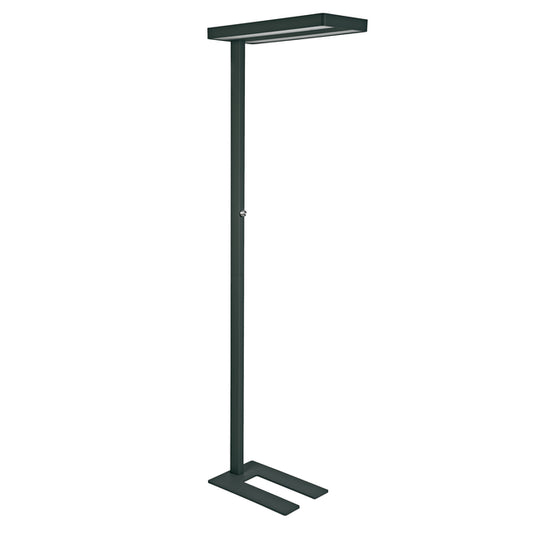 Vloerlamp MAUL Javal LED dimbaar zwart 195cm