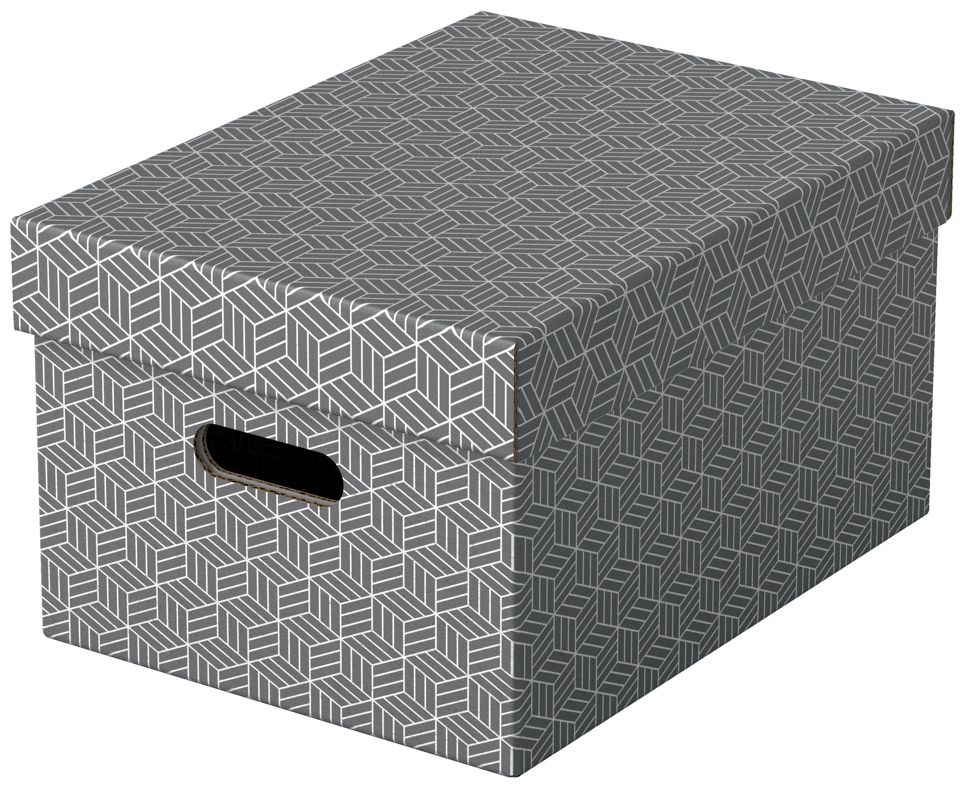 Set van 3 opbergdozen Esselte 265x205x365mm, grijs, gerecycled karton