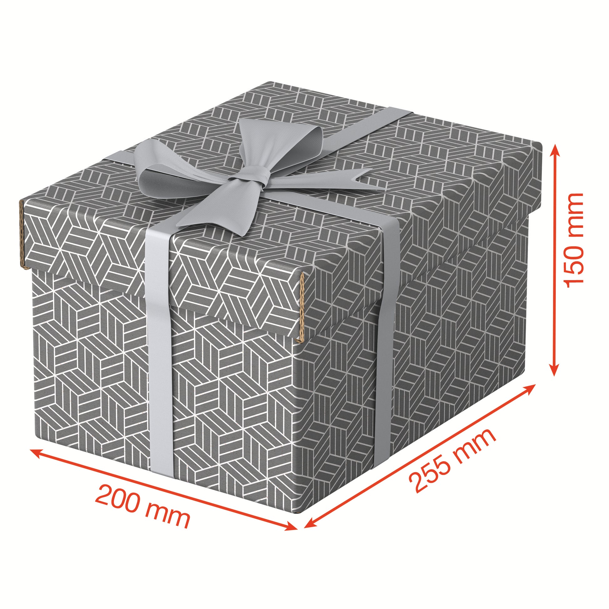Set van 3 Esselte opberg- en geschenkdozen 200x150x255mm met geometrisch design - 3