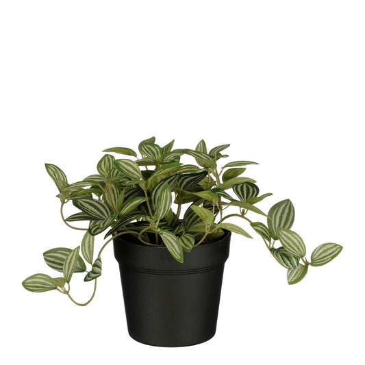 Kunstplant Mica Tradescantia in pot 16x16cm, onderhoudsvrij