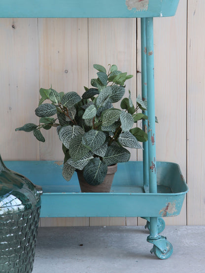 Kunstplant Mica Pilea in Pot 35x25cm - 2