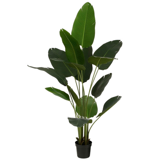 Kunstplant Mica Bananenboom in pot, 180cm hoog