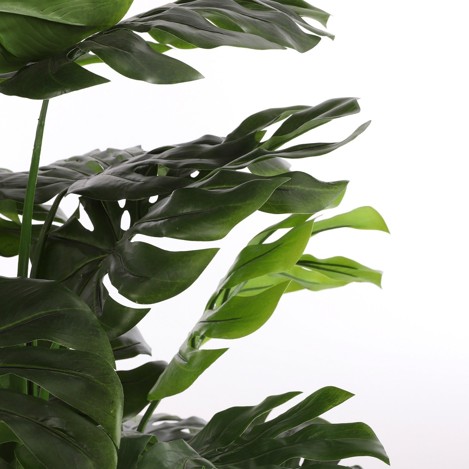 Kunstplant Mica Monstera in pot, circa 1 meter hoog - 3