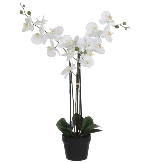 Kunstplant Mica Phalaenopsis Orchidee Wit, 79cm hoog