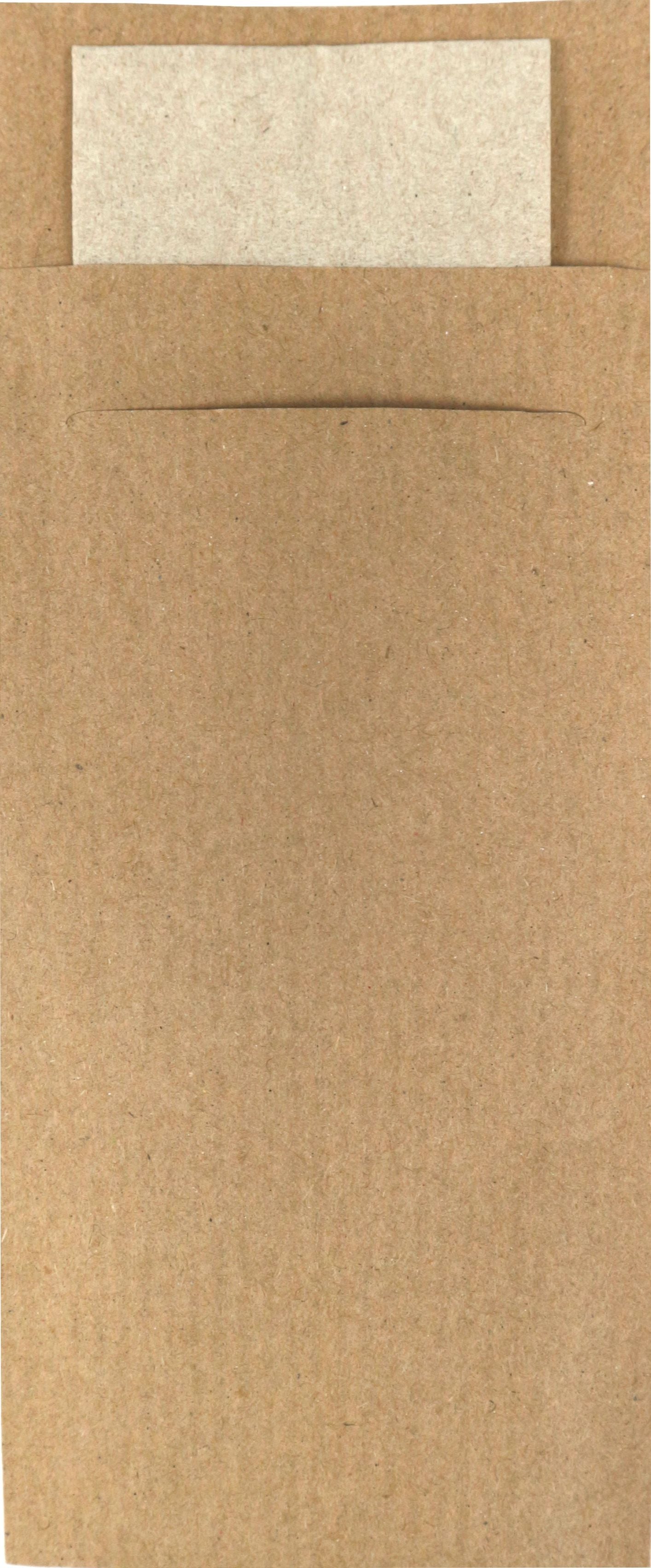 Bestekzakje IEZZY 190x85mm kraft 500 stuks - Milieuvriendelijk en natuurlijk