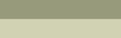 Vulpen STABILO Flow M khaki - 3