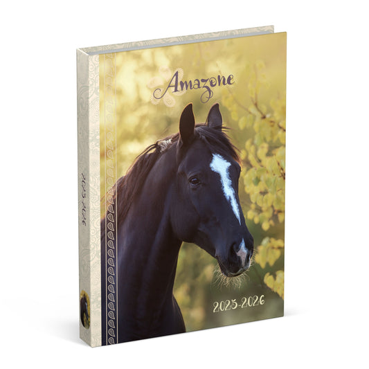 Schoolagenda 2025-2026 Lannoo Horses geel, 1 dag per pagina