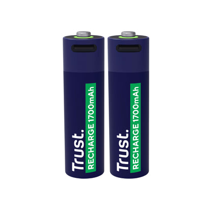 USB-C Oplaadbare AA-batterijen (2 stuks)