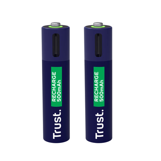 USB-C Oplaadbare AAA-batterijen (2 stuks)
