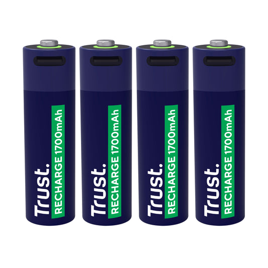 USB-C Oplaadbare AA-batterijen (4 stuks)