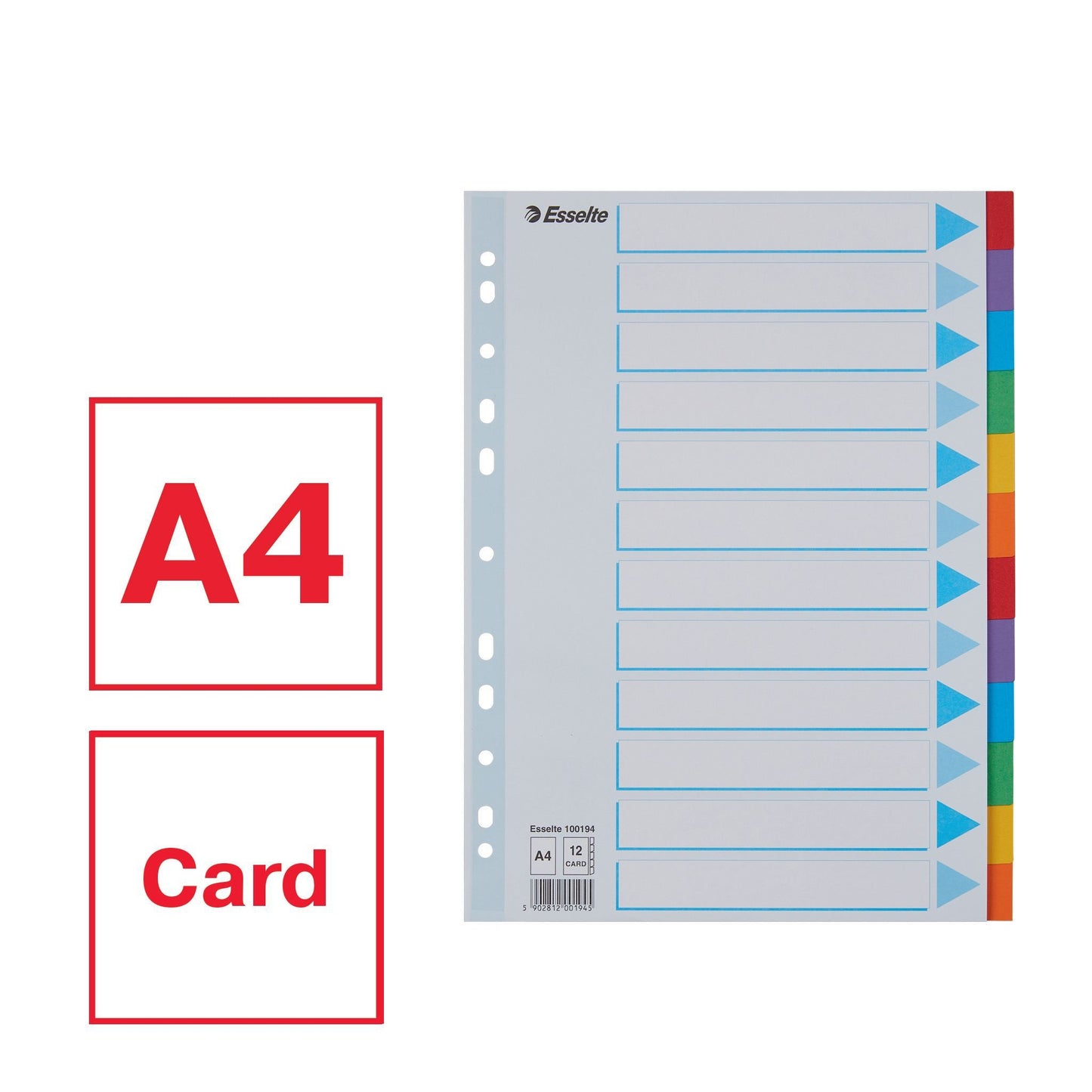 Esselte Stand A4 12-dlg karton gekleurd - 3