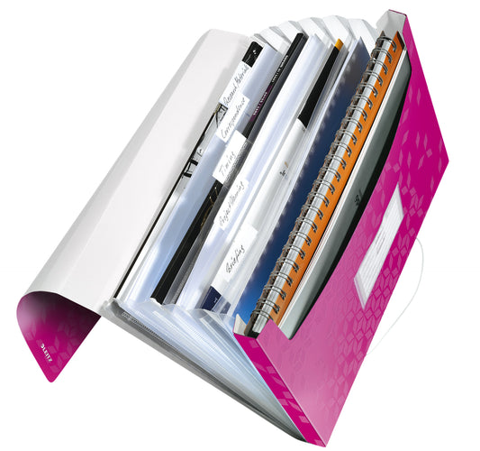 Projectmap Leitz WOW 6 Vaks PP Roze
